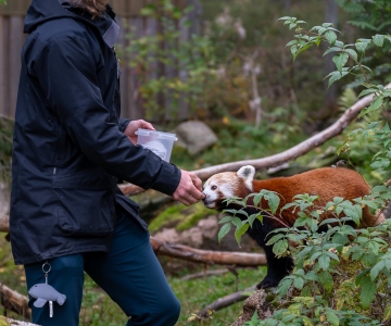 Suomen Luonnonsuojelun Säätiö tukee Pikku-Karhun luontokoulun toimintaa apurahalla